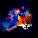 Cyber Fox