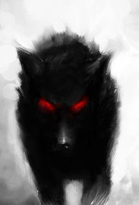 Полина Бородий