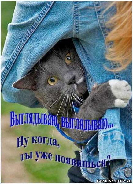 Таня Вацкова