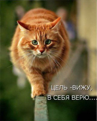 Олег Горбенко