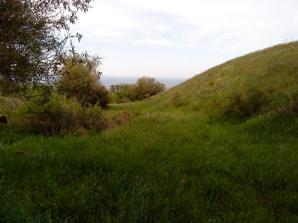 Суфия Иксанова