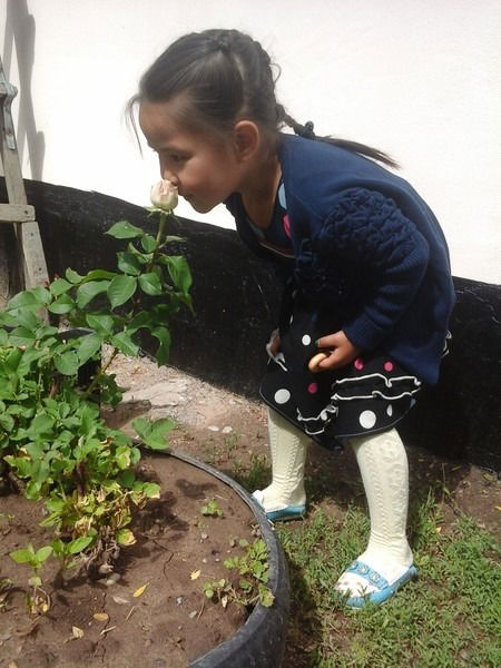 Алимтаева Айгуль