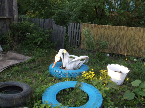 Светлана Владимировна