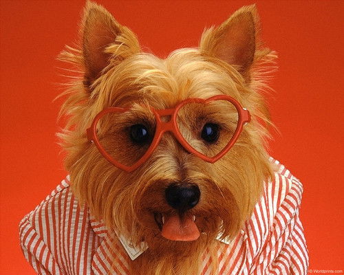 Наталья Матвеева