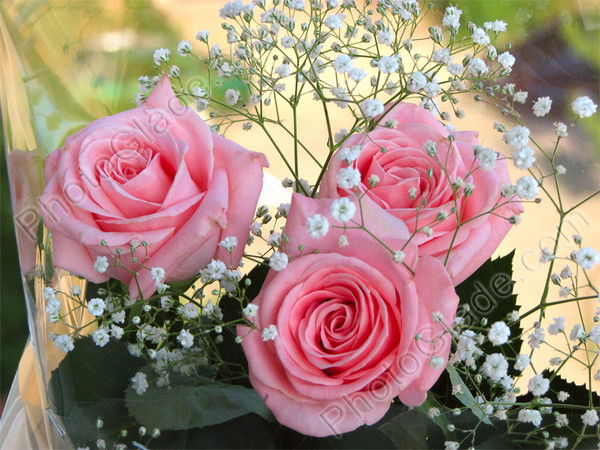 Майра Мухатова