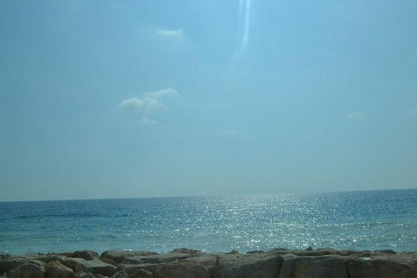 Лескина Татьяна