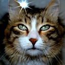 Степан Подолякин