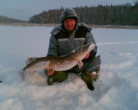 Вячеслав Шмотин