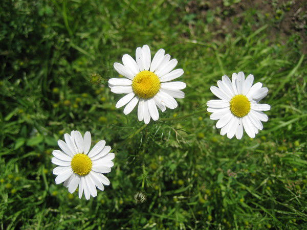 Наталья Белова