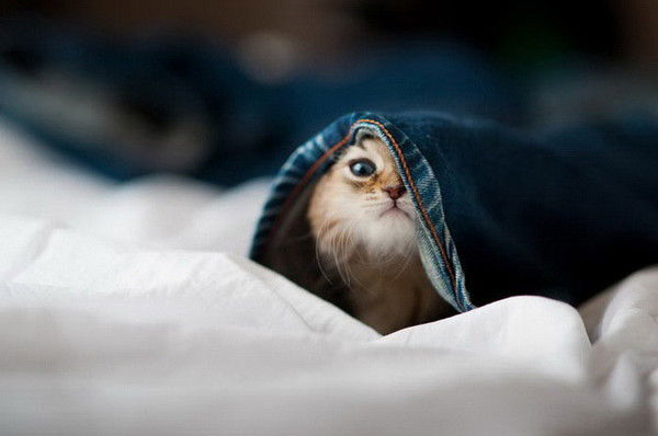 Валерия Squirrel