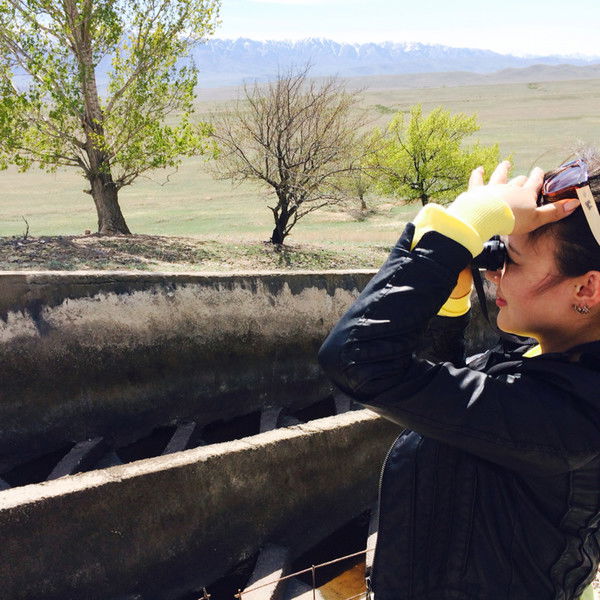 Мако Тле Уберген