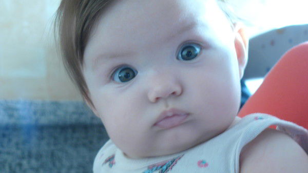 Светлана Ковалевская