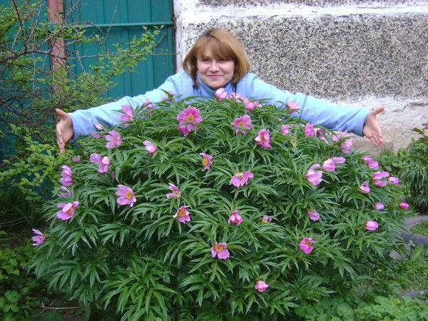 Лариса Устилимова