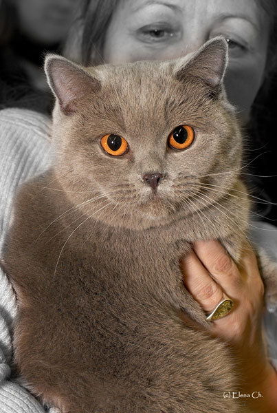 Галина Дедюхина