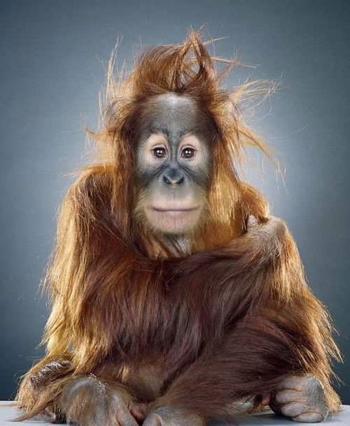 Александр Корнилов