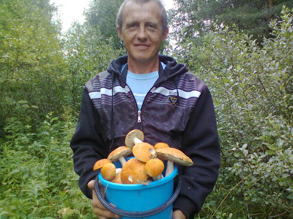 Алексей Зелеин