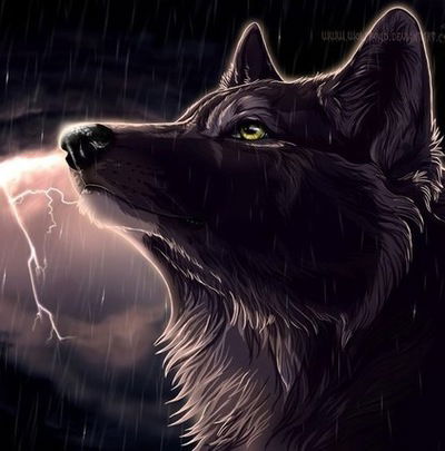 Катя Шинкаренко