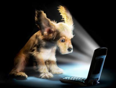 Ануар Аманов