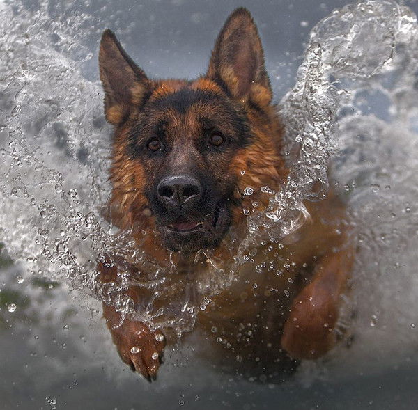 Светлана Афанасьева