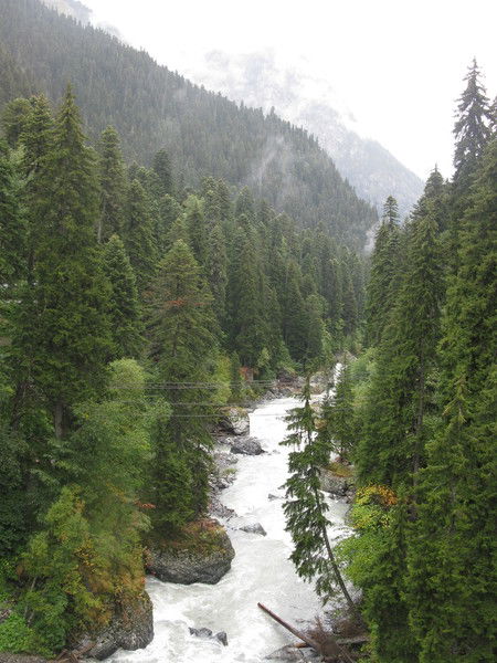 Ольга Богданова