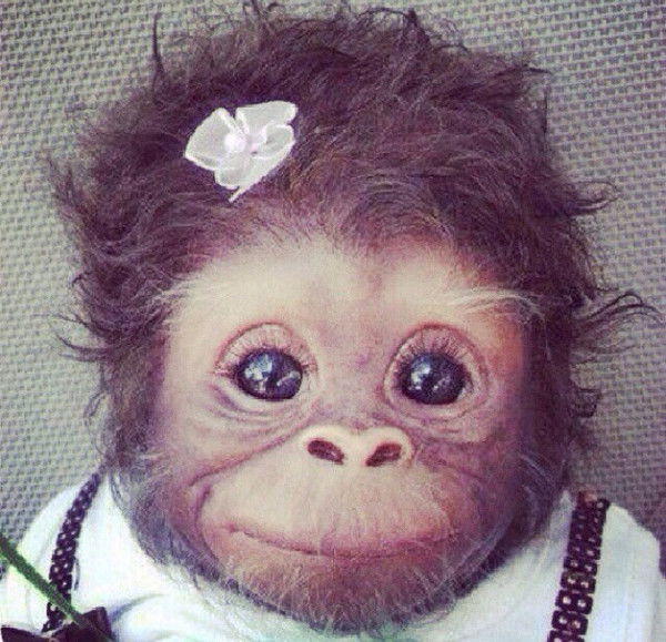 Алия Еркелешка