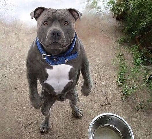 Андрей Сурдуковский