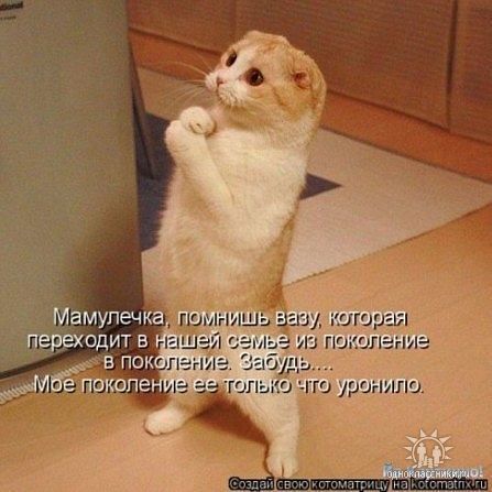 Анастасия Левина