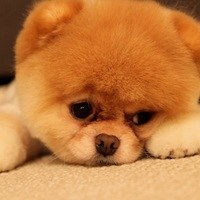 Анна Нюшина