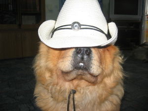 Валерий Загородников