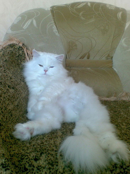 Александр Четвергов