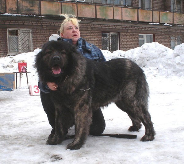 Дуничева Елена