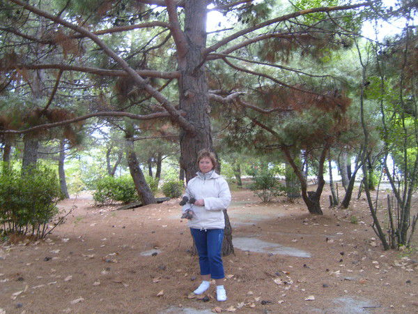 Ирина Максимова