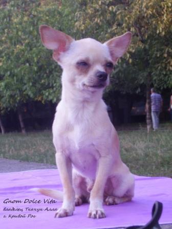 Алла Ткачук