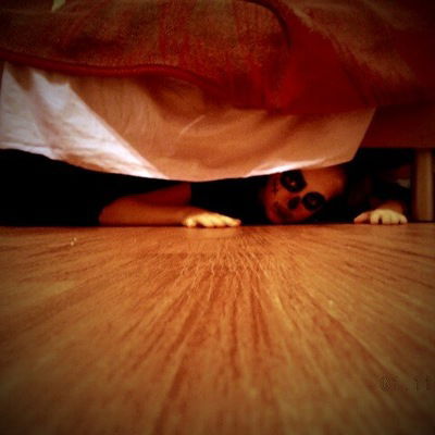 Виолетта Кузнецова