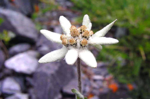 Людмила Морозова