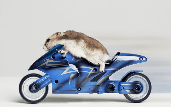 Ирина Горбунова