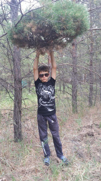 Владимир Пастухов