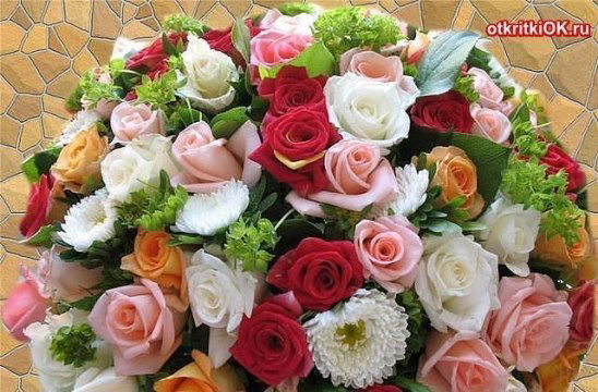 Ольга Попелева