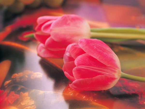 Бахыт Махмутова