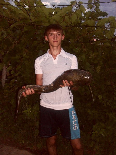 Костя Жадан