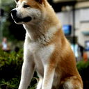 Марк Григорьев