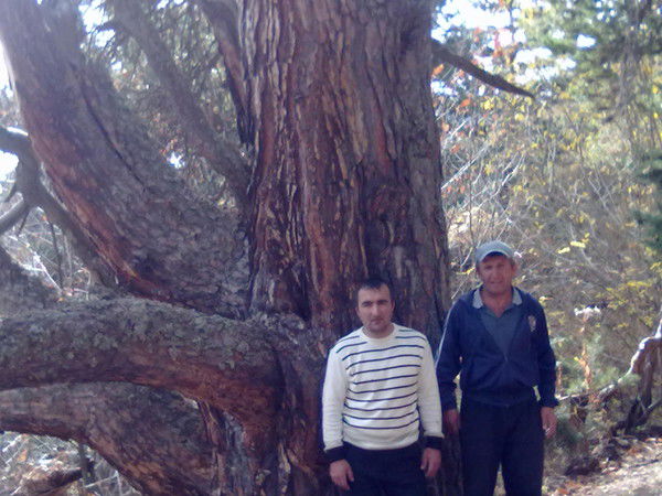 Гаирбег Абдулаев