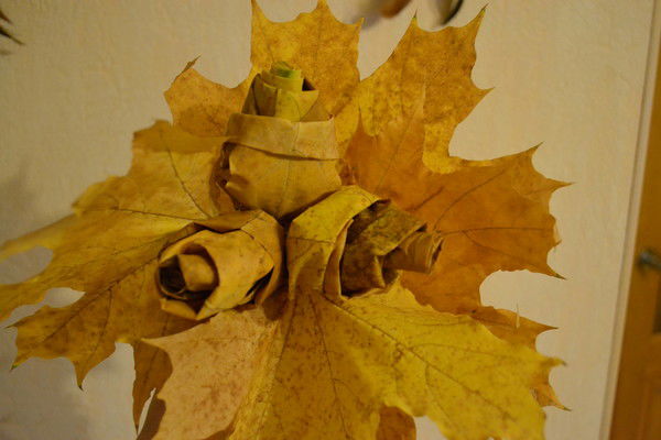 Елена Волкова