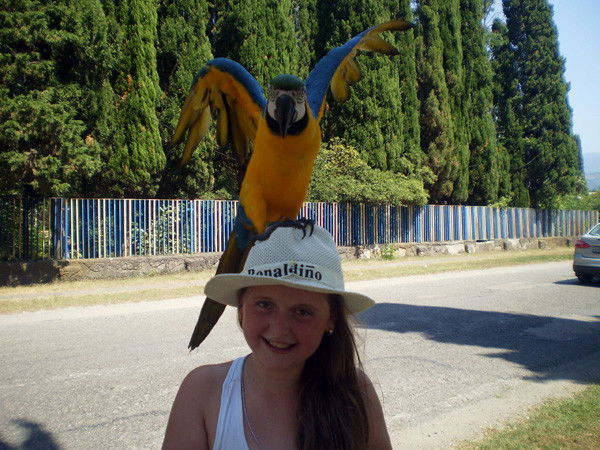 Николай Веденеев