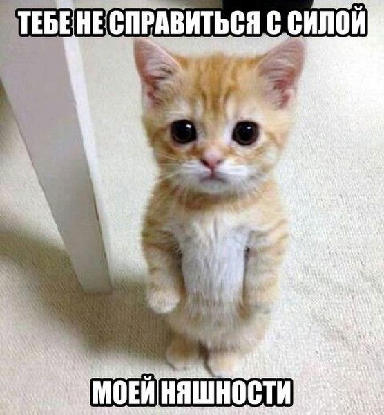 Галина Борисовна