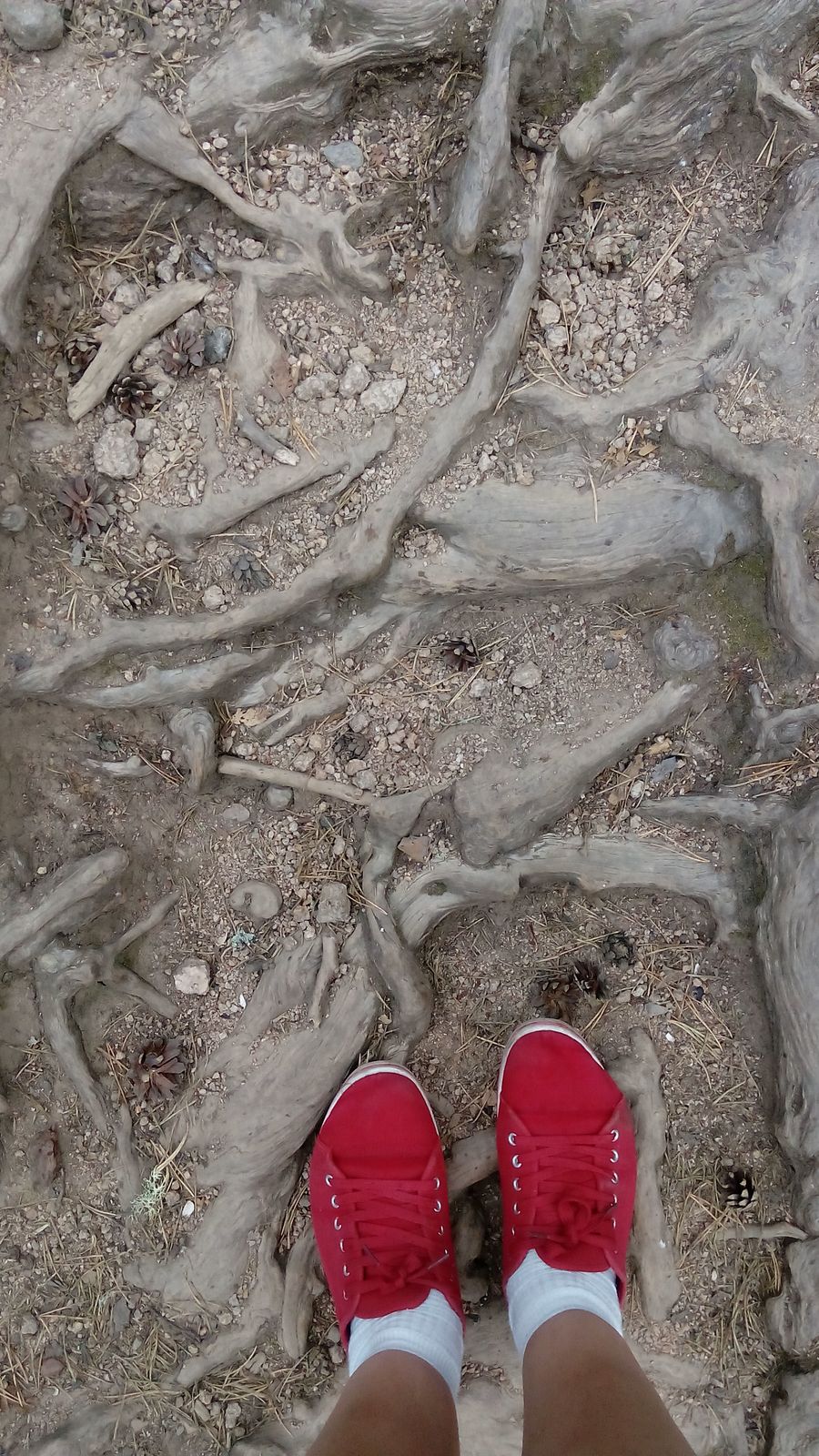 Леся Теплюк