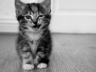 Юрий Калыуш