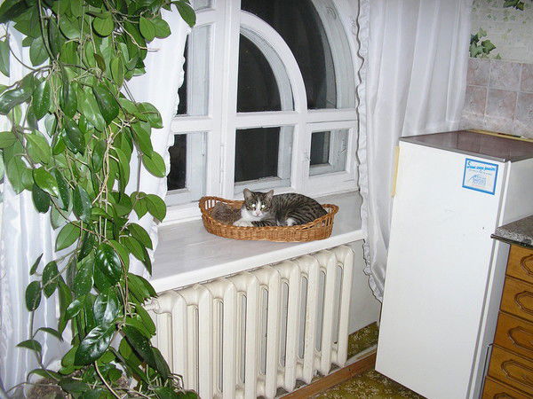 Александр Ворожцов