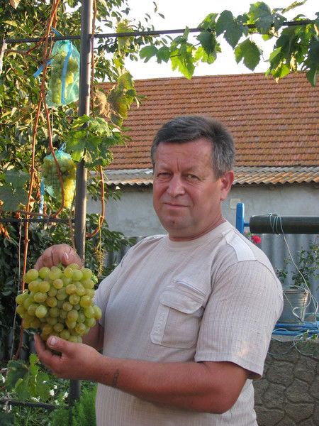 Борис Шептикин