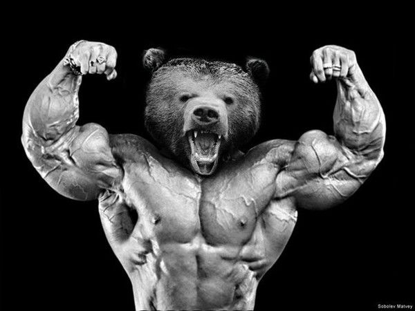 Виталий Маркелов